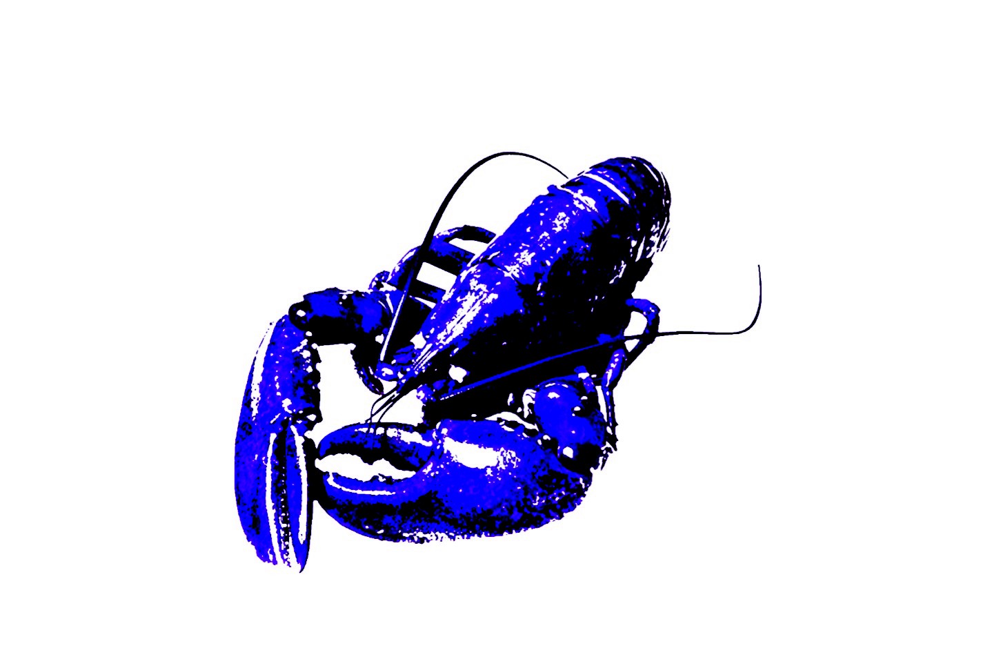 Pier 37 Custom Listing - Blue Lobster - Vinyl Boutique Shop