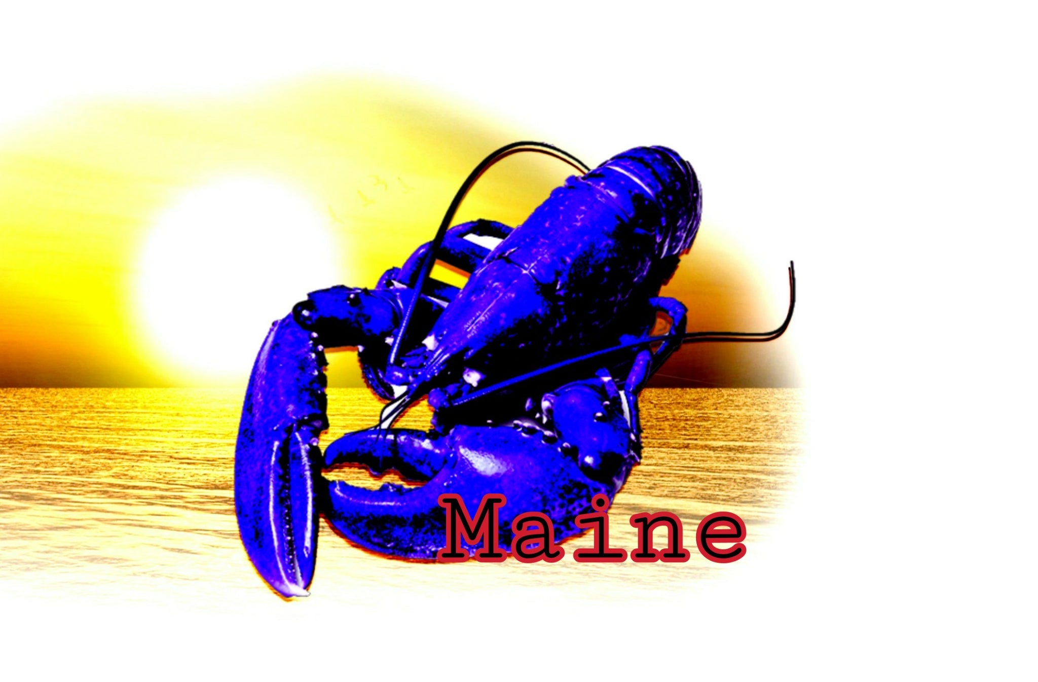 Pier 37 Custom Listing - Blue Lobster Sunset Maine - Vinyl Boutique Shop