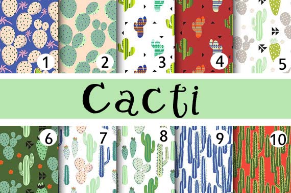 Cacti Cactus Adhesive Vinyl Sheet - Vinyl Boutique Shop