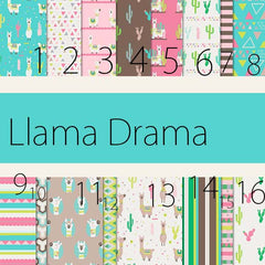 Llama Cacti Heat Transfer Vinyl Sheet - Vinyl Boutique Shop